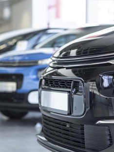 Auto & Truck Dealers
